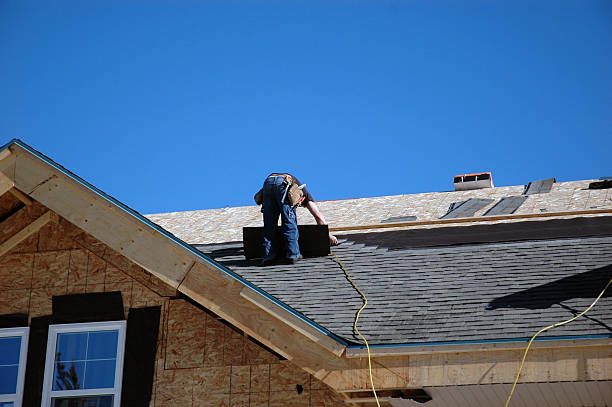 Roof Gutter Cleaning in Valley Grande, AL